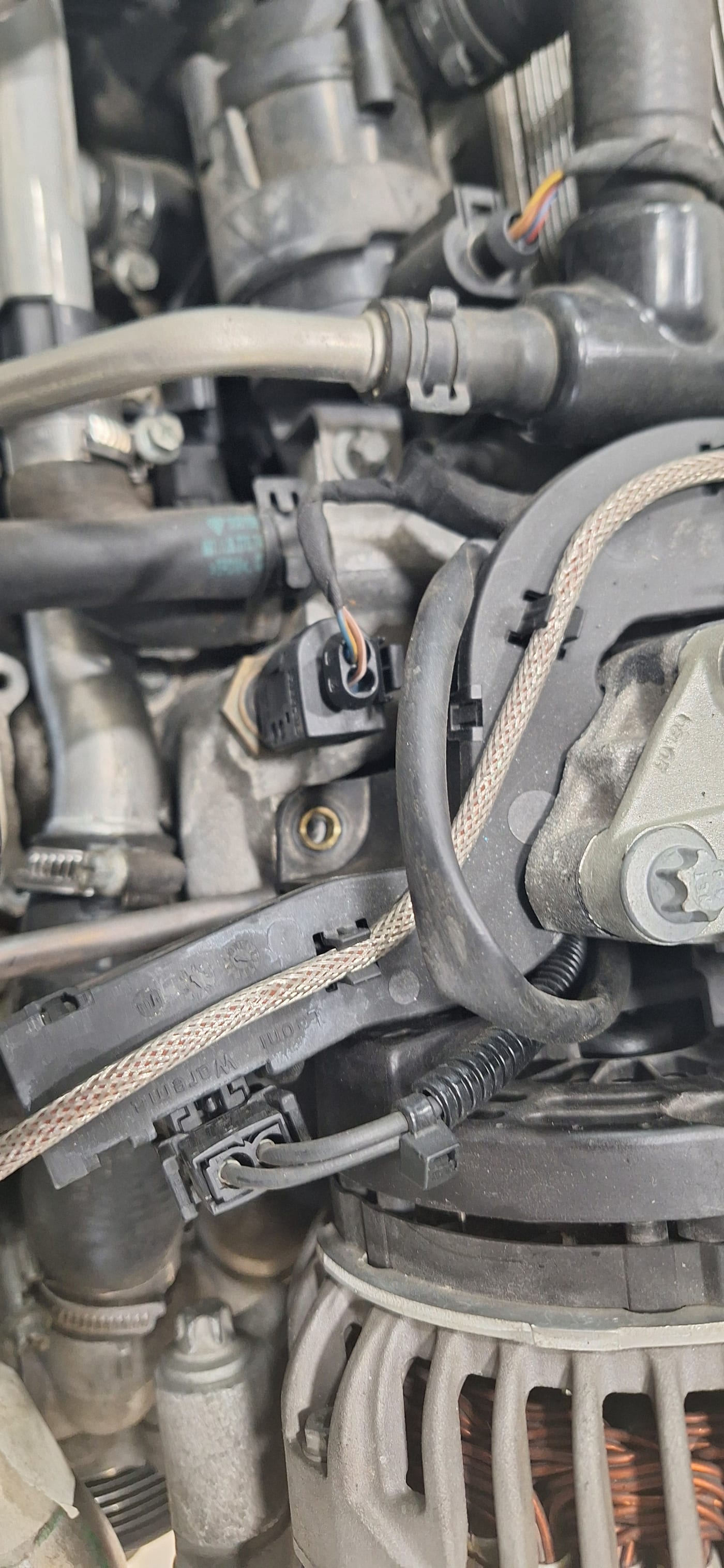 El turbo i l'alternador del 997.1 vistos des de dalt, amb l'aïllant tèrmic