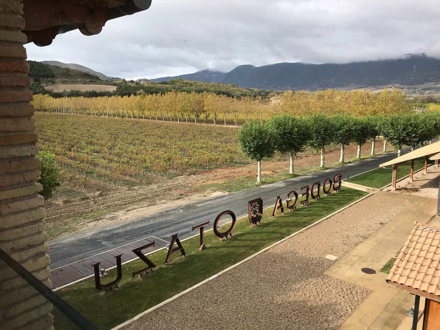 Vinyes vistes des del celler Otazu, parada del Winter Ride 2017